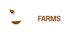 Lift Logo