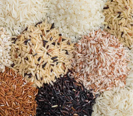Rice Catalogue