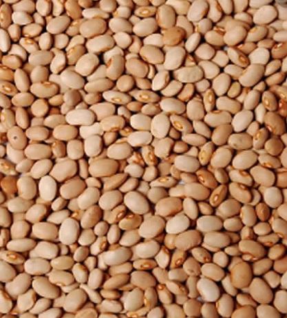 Beans